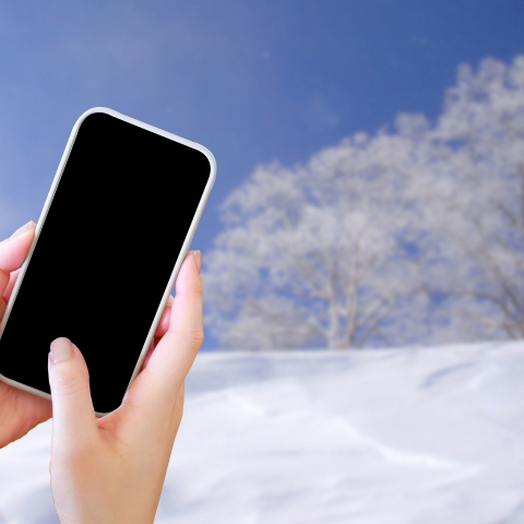 Avalanche Safety Gear: How to Choose